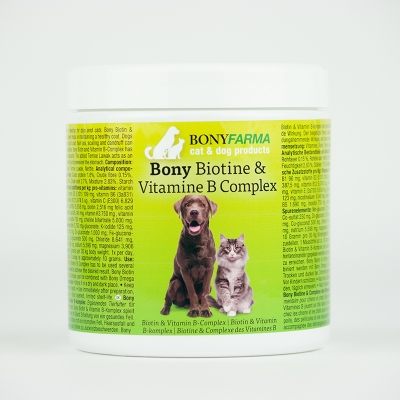 can you give dogs vitamin b