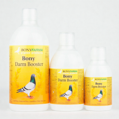 Bony Wzmacniacz jelit