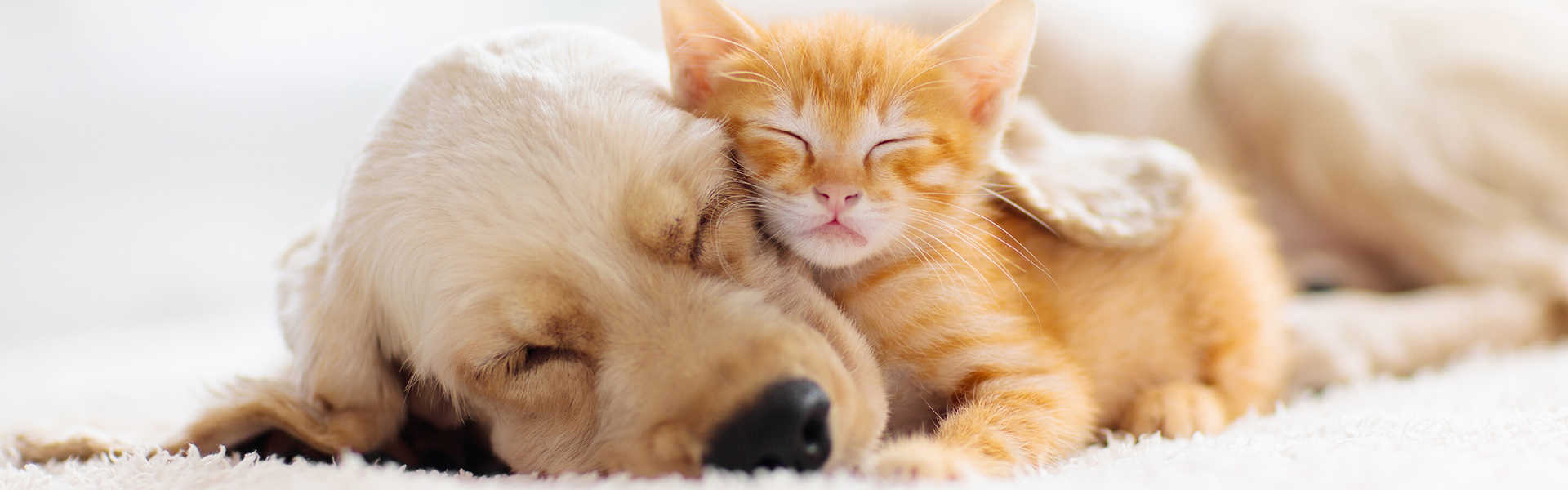 Bony Farma - Cat & Dog Products Bony Farma - Cat & Dog Products