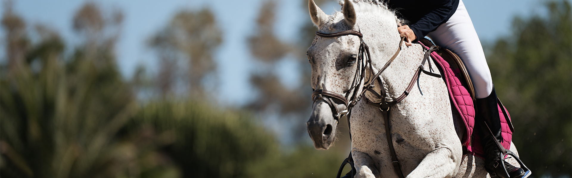 Bony Farma - Horse Products Bony Farma - Horse Products